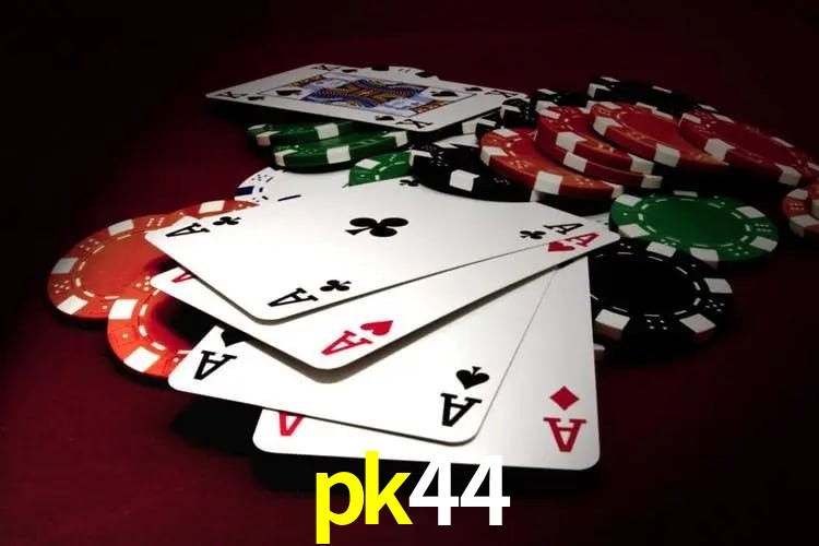 Experiência VIP pk44